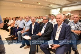 SDS pokreće peticiju da se javno objavi Program reformi BiH