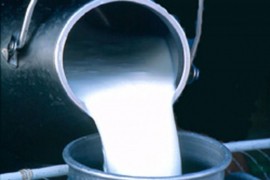 Mliječni proizvodi mogu negativno da utiču na zdravlje