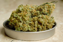 Pet kilograma skanka pokušao ubaciti u peć