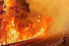 Požari u Sidneju progutali površinu veću od Belgije
