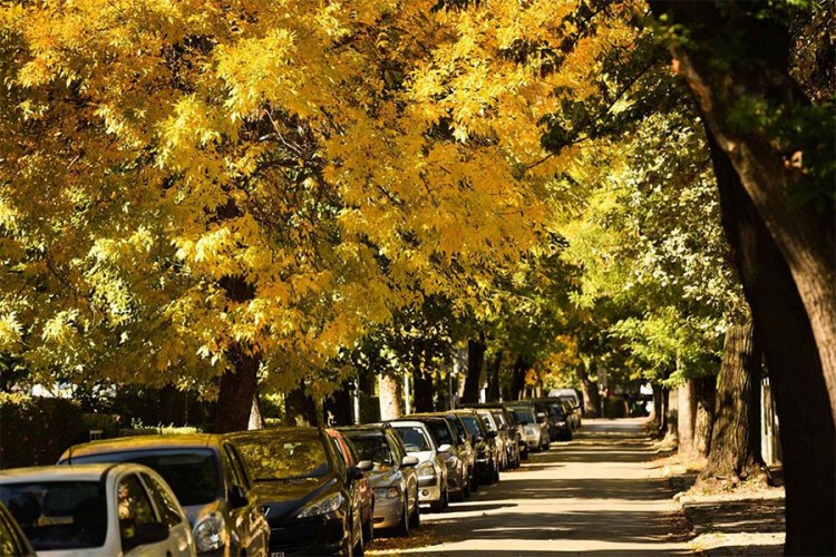 Oblačno i suvo, temperatura do osam stepeni