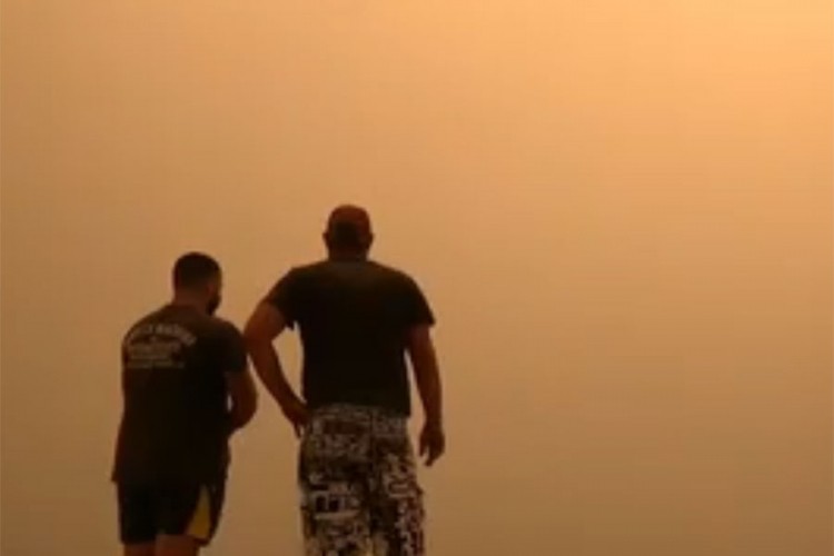 Požari u Australiji, Sidnej prekriven dimom