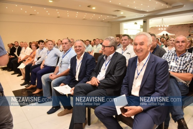 SDS pokreće peticiju da se javno objavi Program reformi BiH