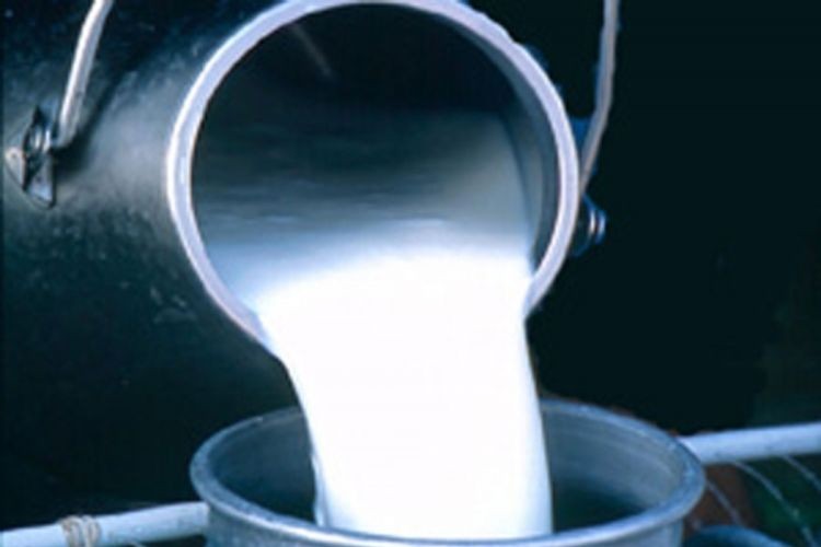 Mliječni proizvodi mogu negativno da utiču na zdravlje