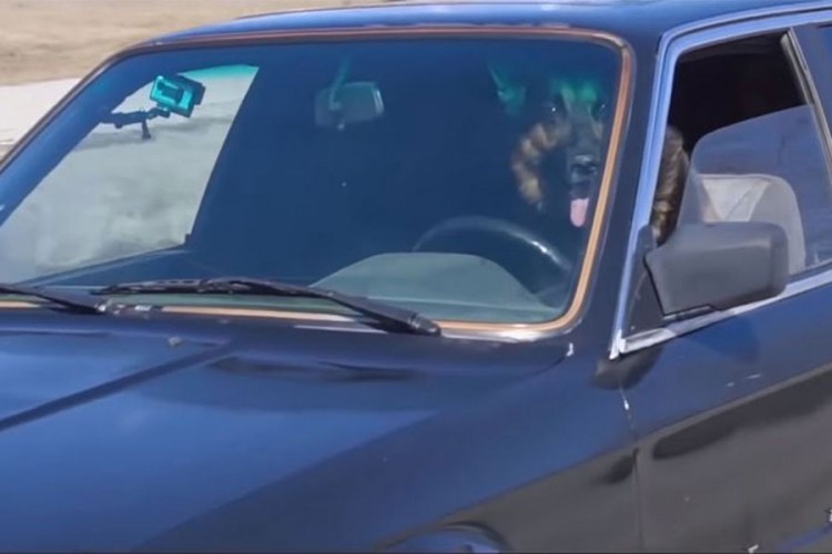 Rusi napravili BMW kojeg vozi pas