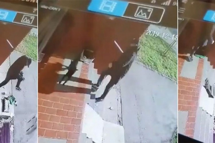 Došao do ulaza zgrade samo da išutira psa