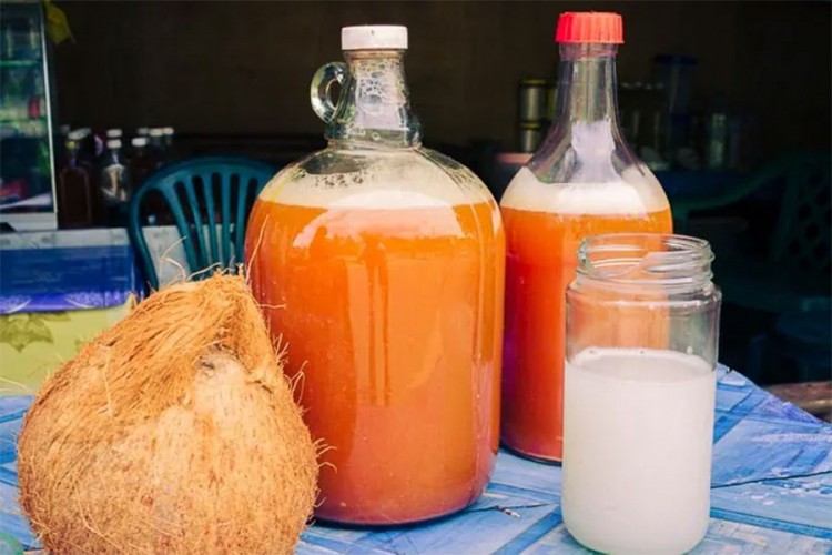 Jedanaest ljudi umrlo od kokosovog vina na Filipinima