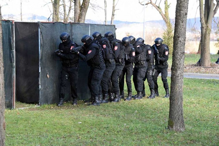 Žandarmerija izvela pokaznu vježbu u Zalužanima