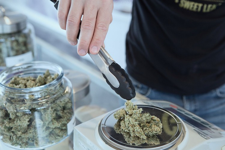 Legalizovan uzgoj manje količine kanabisa
