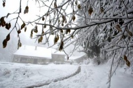 Prva žrtva smrzavanja u Srbiji?
