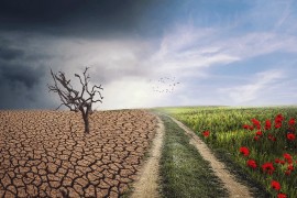 Grandi: Svijetu prijeti talas izbjeglica zbog klimatskih promjena
