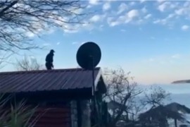 Spriječili ga da se zapali pa skočio u more i udario glavom u stijenu
