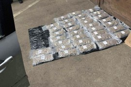 U Srbiji zaplijenjeno 15 kg marihuane, uhapšen i državljanin BiH