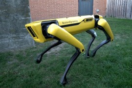 Robot-pas sve savršeniji