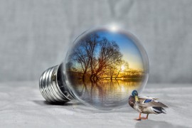 Hrvatska iz obnovljivih izvora dobija skoro trećinu energije