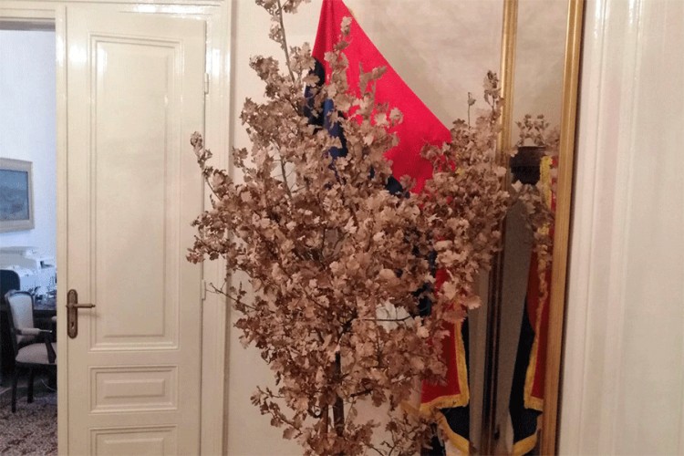 Badnjak u kabinetu srpskog člana Predsjedništva BiH u Sarajevu