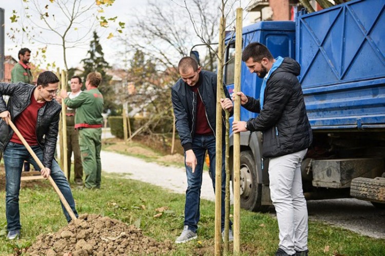 Za zelene površine skoro dva miliona maraka
