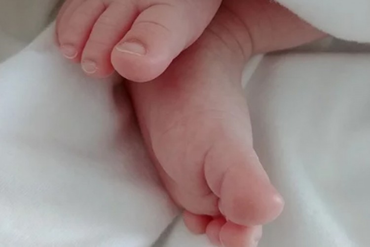 Psi upali u porodilište i izgrizli bebu po cijelom tijelu