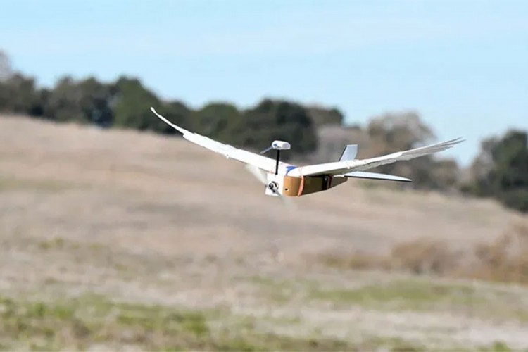 PigeonBot robot od ptičijeg perja