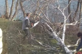 Olujni vjetar lomio stabla u Bihaću