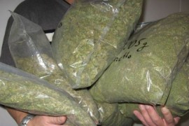 Zaplijenjeno više od 1,7 kilograma marihuane