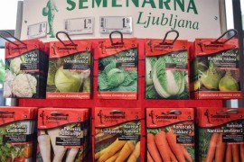 Srpski biznismen novi vlasnik Semenarne Ljubljana