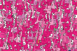 Vidite li malo srce među flamingosima?