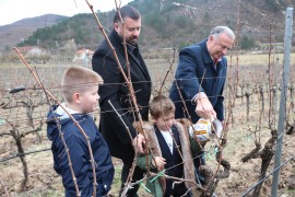 Buđenje vinograda za nove rekorde