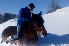 Djeca junaci ivanjičkog kraja: Kroz smetove komšijama dostavljali ...