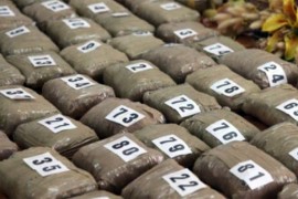 Zaplijenjene 2,5 tone narkotika u 2019. godini