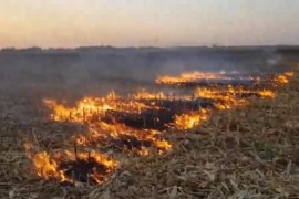 Modričanin palio njivu, vatra mu "uhvatila" noge