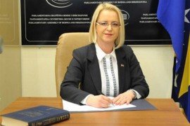 Novaković-Bursać: Mektićeva inicijativa neće riješiti problem u ...