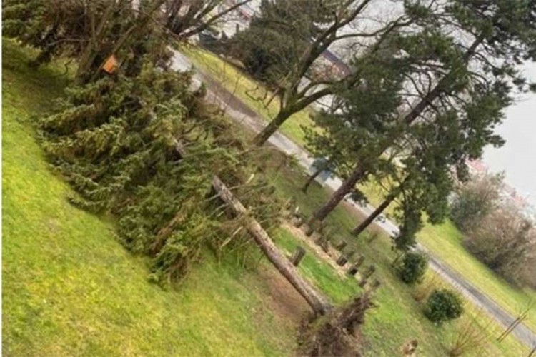 Nevrijeme u Hrvatskoj: Vjetar iščupao stablo, pada kiša i susnježica