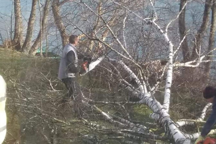 Olujni vjetar lomio stabla u Bihaću