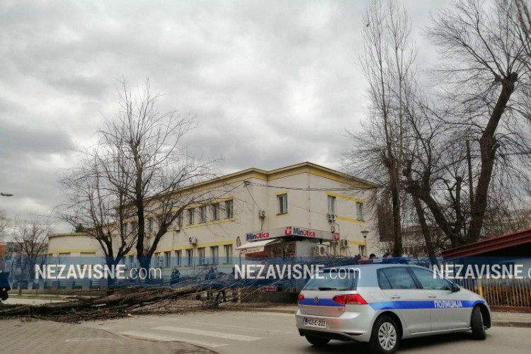 Palo drvo u centru Banjaluke
