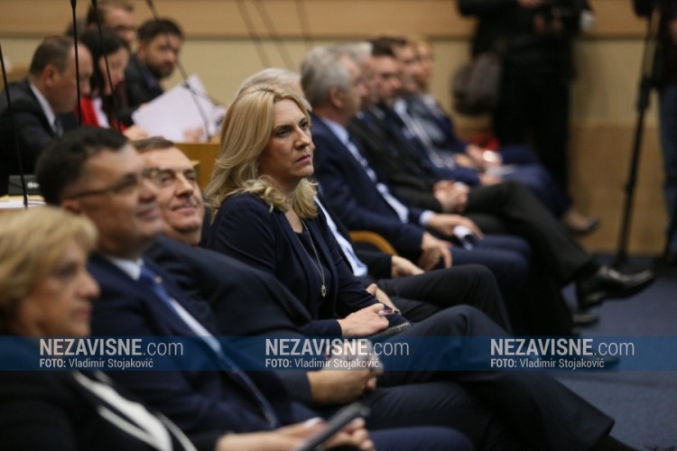 Cvijanović: Važno što su usvojeni usaglašeni zaključci