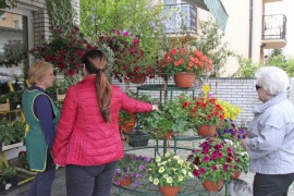 Cvjećarima u Banjaluci produženo radno vrijeme za 8. mart