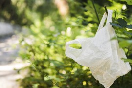 Zašto su cekeri odličan izbor i alternativa plastičnim vrećicama?