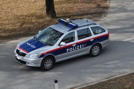 Austrijanka osumnjičena da je izbola dečka iz BiH i pustila ga da ...
