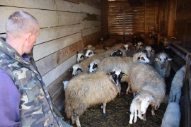Na selo došao sa sićom u džepu, danas jedan od najvećih farmera u ...