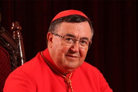 Puljić: Ako je moguće, mise da budu na otvorenom, oprez sveštenika