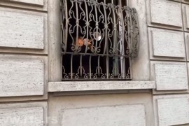 "Ženi nam se Vukota" razbija strah od virusa u Milanu