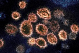 Novo istraživanje potvrdilo ranije tvrdnje: Vrijeme utiče na virus ...
