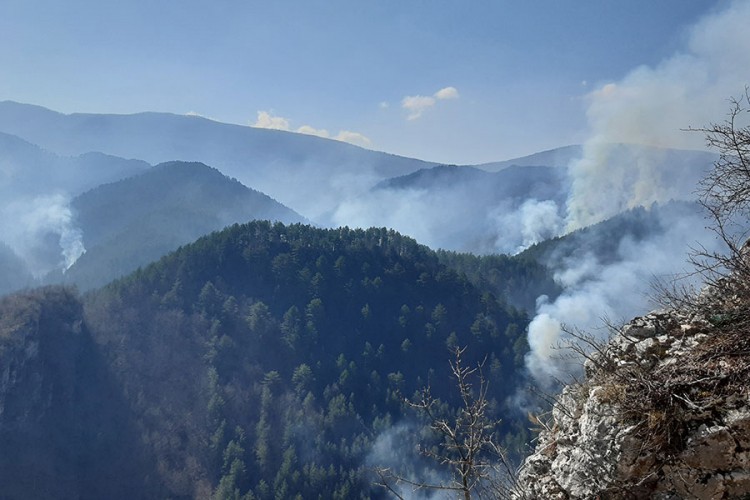 Runić: Nije stigao helikopter oružanih snaga da pomogne u gašenju