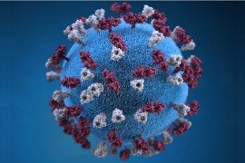 Teoretičari zavjere pronašli virus korona u izvještaju njemačke ...
