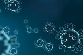 Američki naučnici: Virus korona neće nestati dolaskom toplijeg ...
