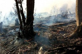 Vatra sa područja Bosanskog Grahova se širi prema Drvaru i Hrvatskoj