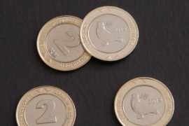 Od ponedjeljka u opticaju nove kovanice od dvije marke