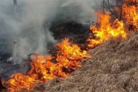 Požari kod Konjica pod kontrolom, odbranjene kuće