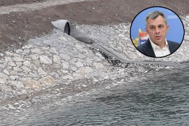 Radojičić: Vrbas zagađen, traže se počinioci